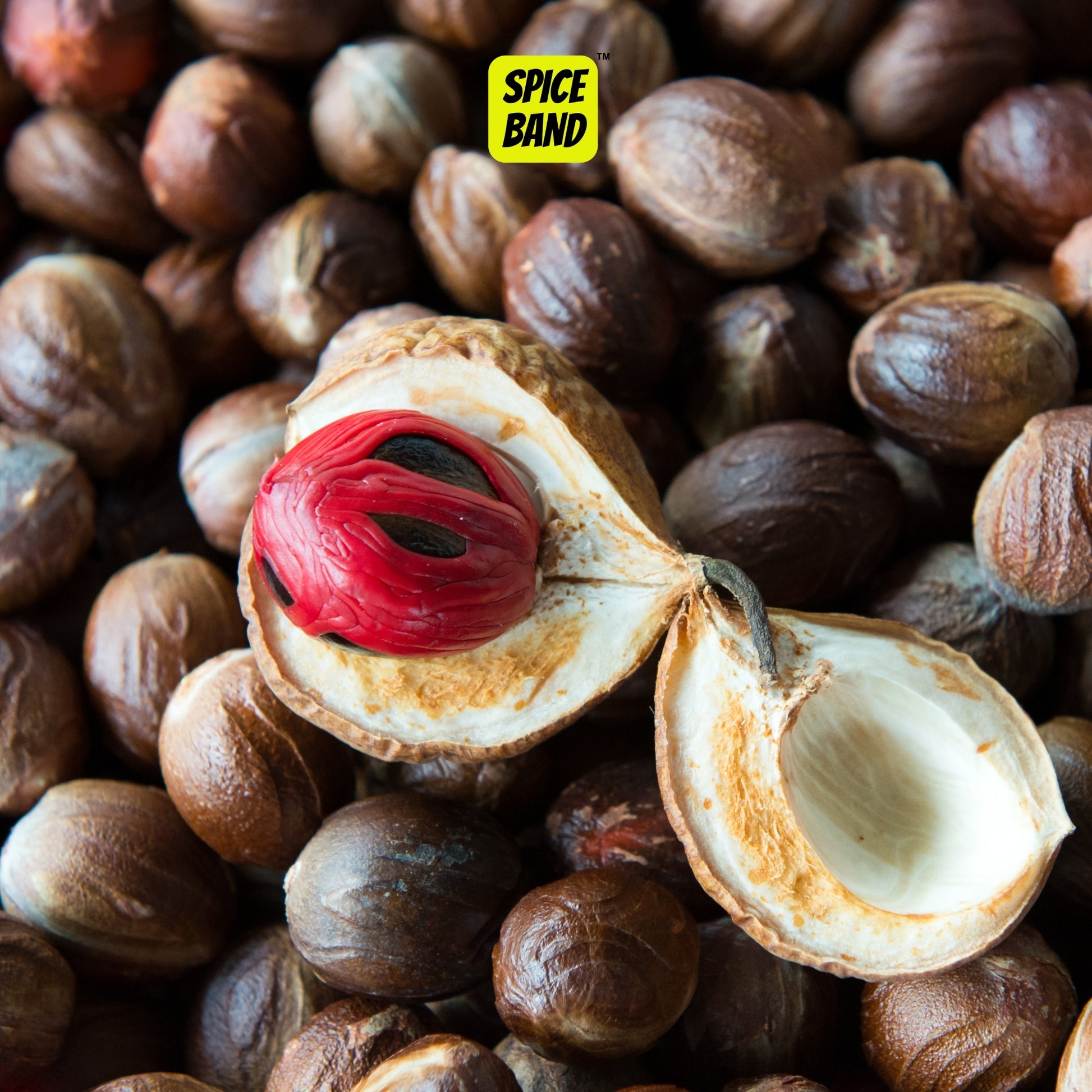 Whole Nutmeg Seeds – Kerala Fresh & Aromatic