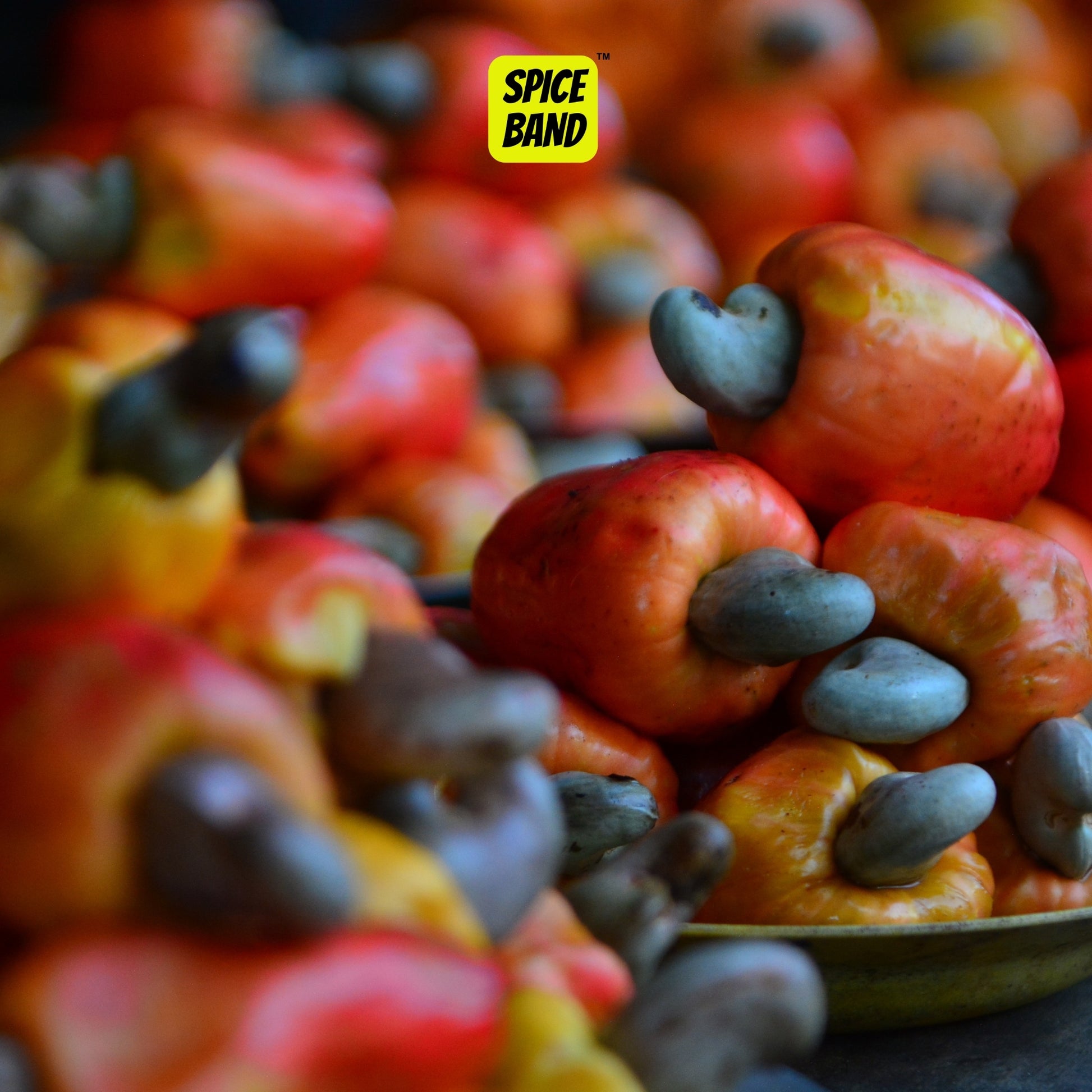 Whole Cashew Nuts – Premium Quality, Fresh & Crunchy