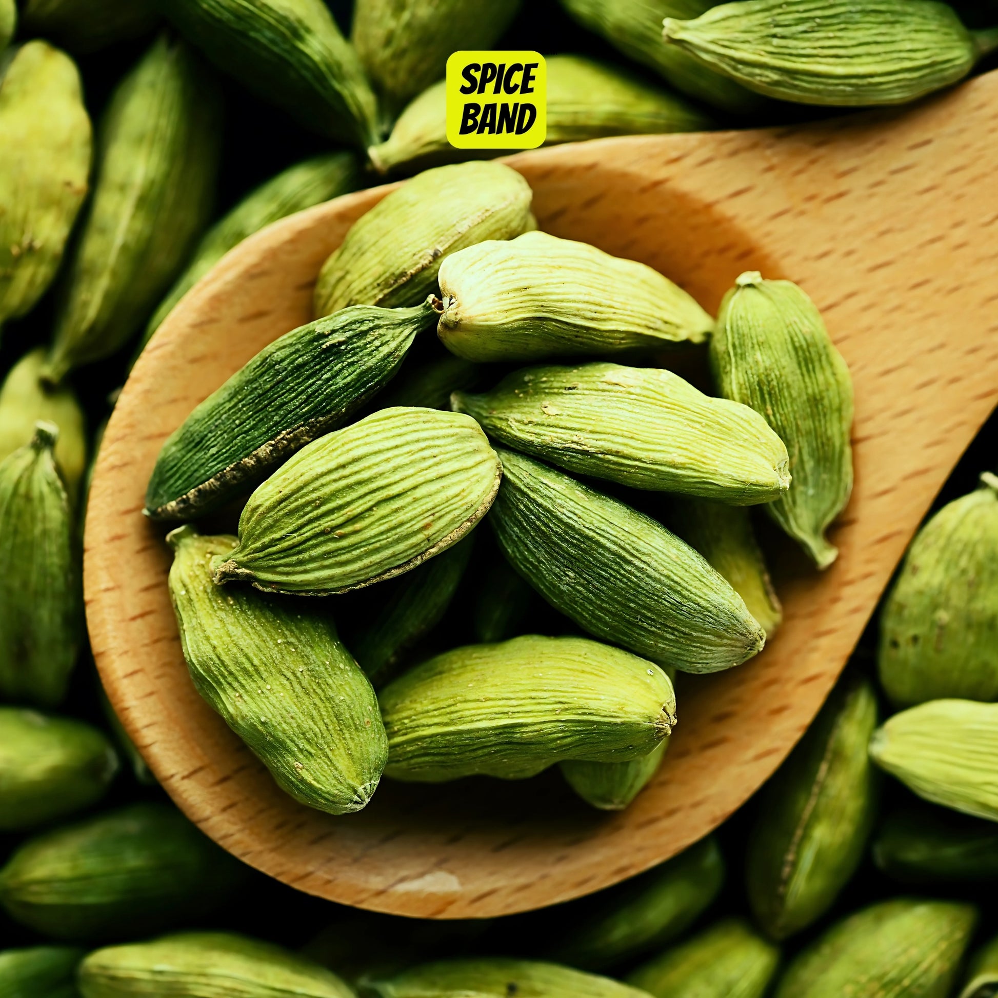 Green Cardamom – Premium Kerala Elaichi | Aromatic & Natural